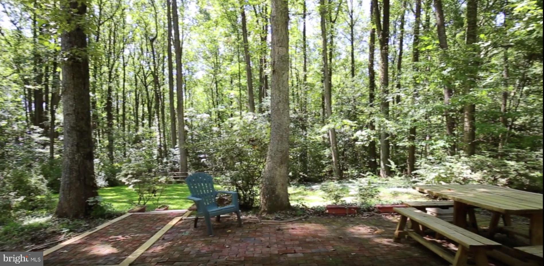 11715 Blue Smoke Trail Reston, VA 20191 - Photo 3 of 37 0.63 Acre lot backing to parkland!