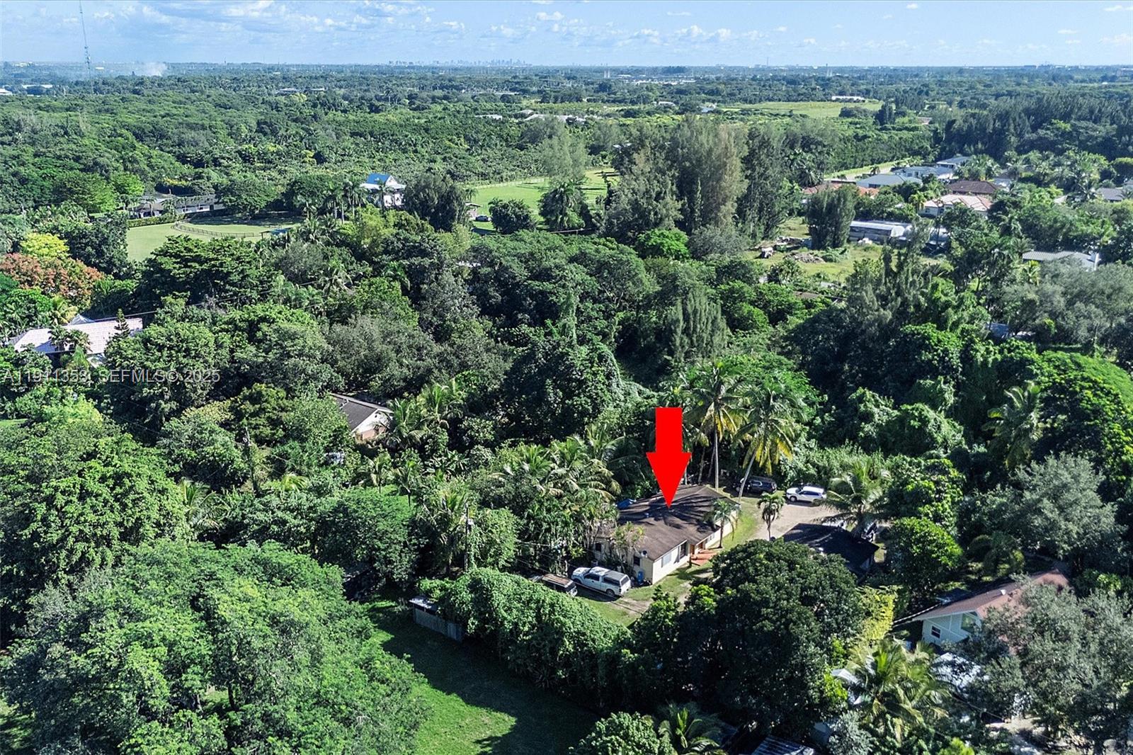 22950 Southwest 156th Avenue Miami, FL 33170 - Photo 11 of 11 an aerial view of residential houses with trees and flower