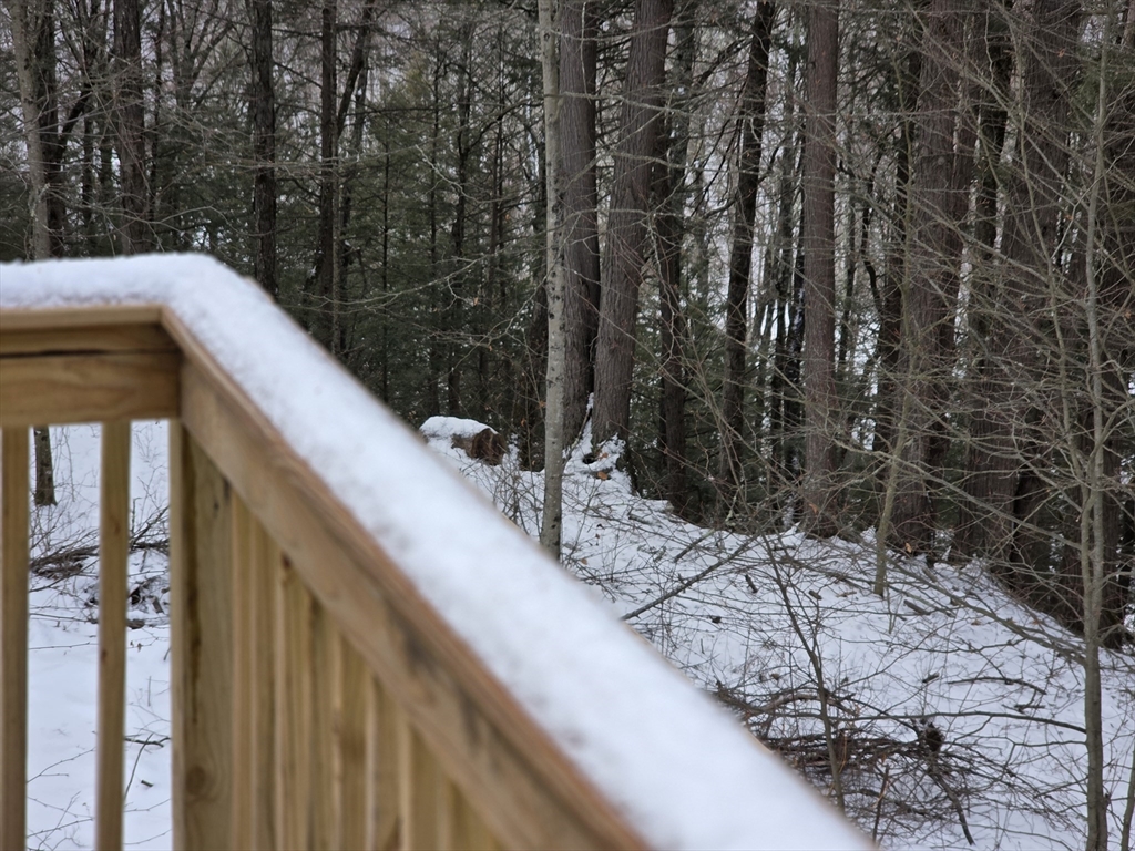 71 George Lamb Road Leyden, MA 01337 - Photo 18 of 18 a view of outside space