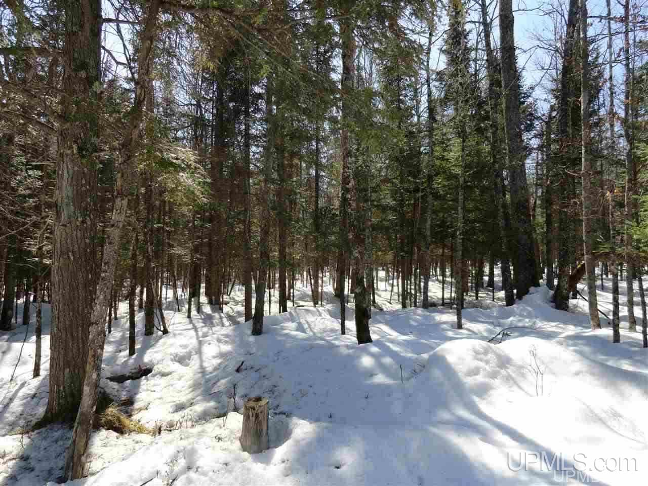 240-acres Leek Road Covington, MI 49919 - Photo 28 of 50