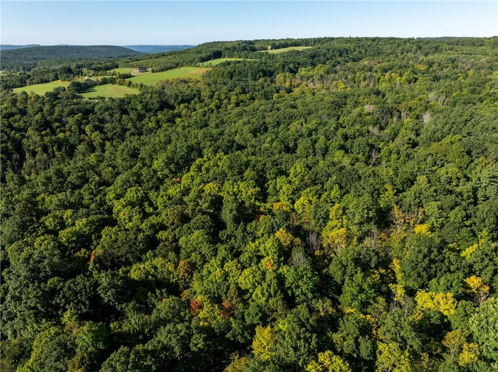 South Gannett Hill Road Naples, NY 14512 - Photo 2 of 8