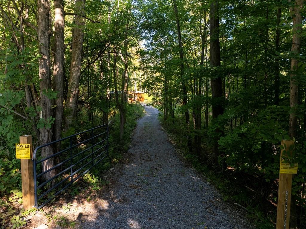 South Gannett Hill Road Naples, NY 14512 - Photo 4 of 8