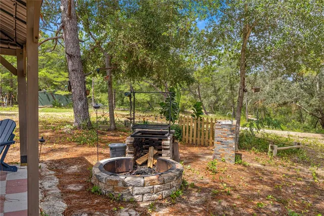 a view of a forest with trees