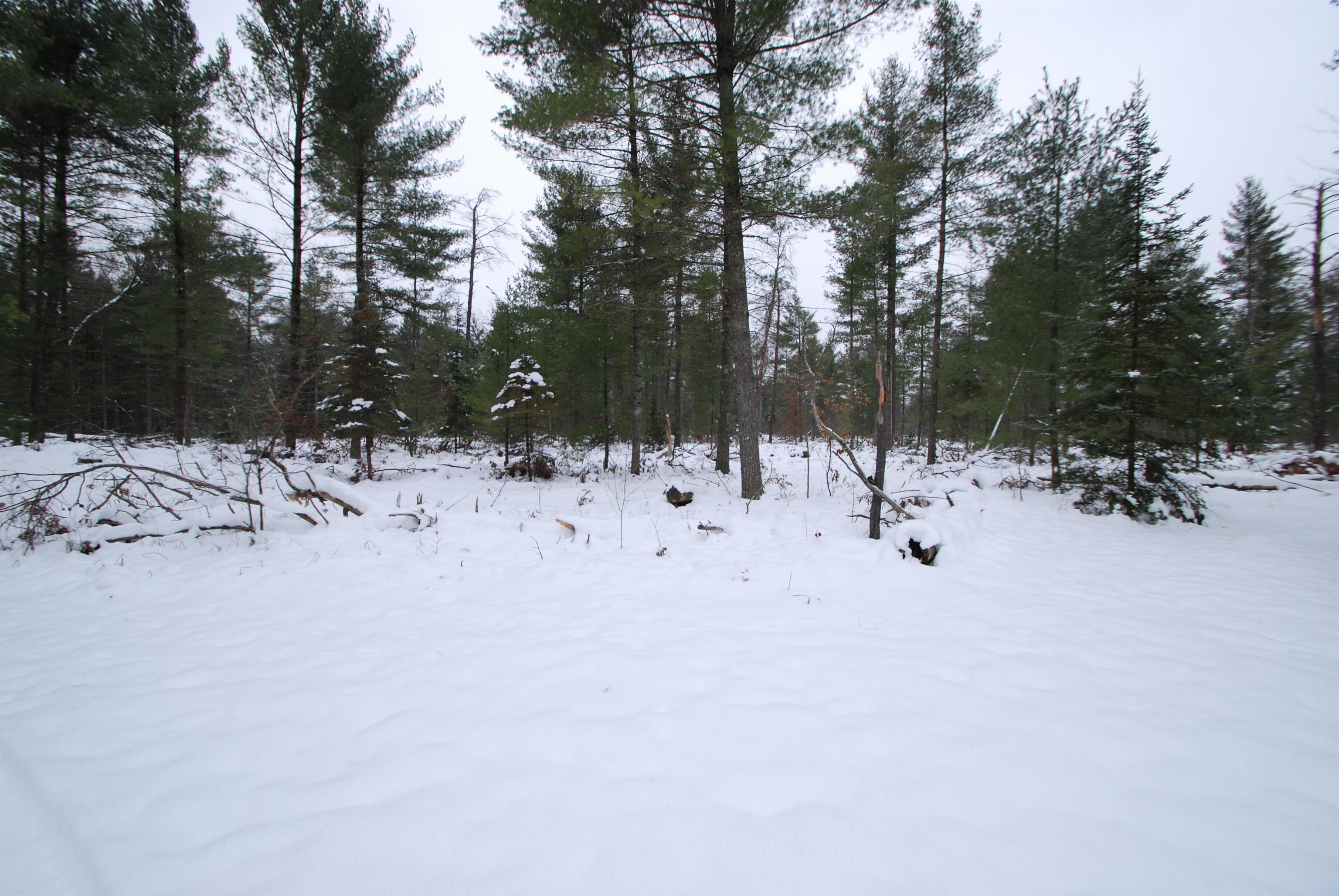 57 East Boehm Road West Branch, MI 48661 - Photo 46 of 49