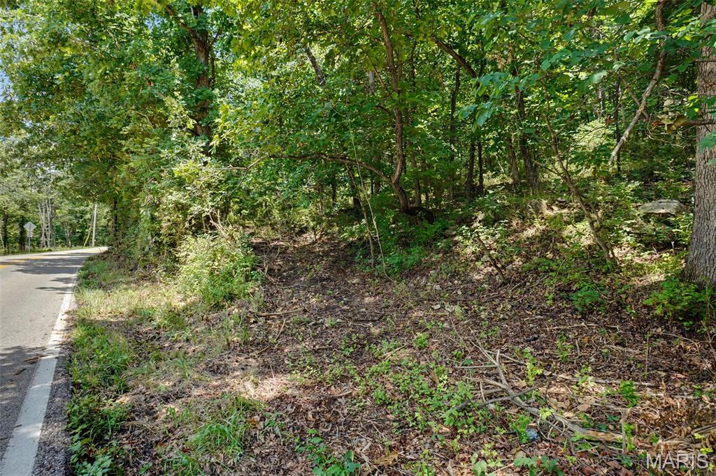 1410 St Paul Road Ballwin, MO 63021 - Photo 5 of 9