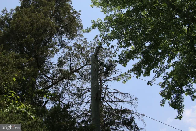 $1,500,000 | 24118 Trailhead Drive, Aldie, VA 20105