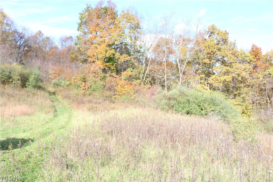 75336 Science Hill Road Newcomerstown, OH 43832 - Photo 29 of 35 Gallery Image 29