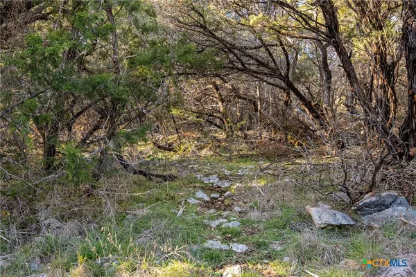 $2,500 | Undisclosed Address, New Braunfels, TX 78132