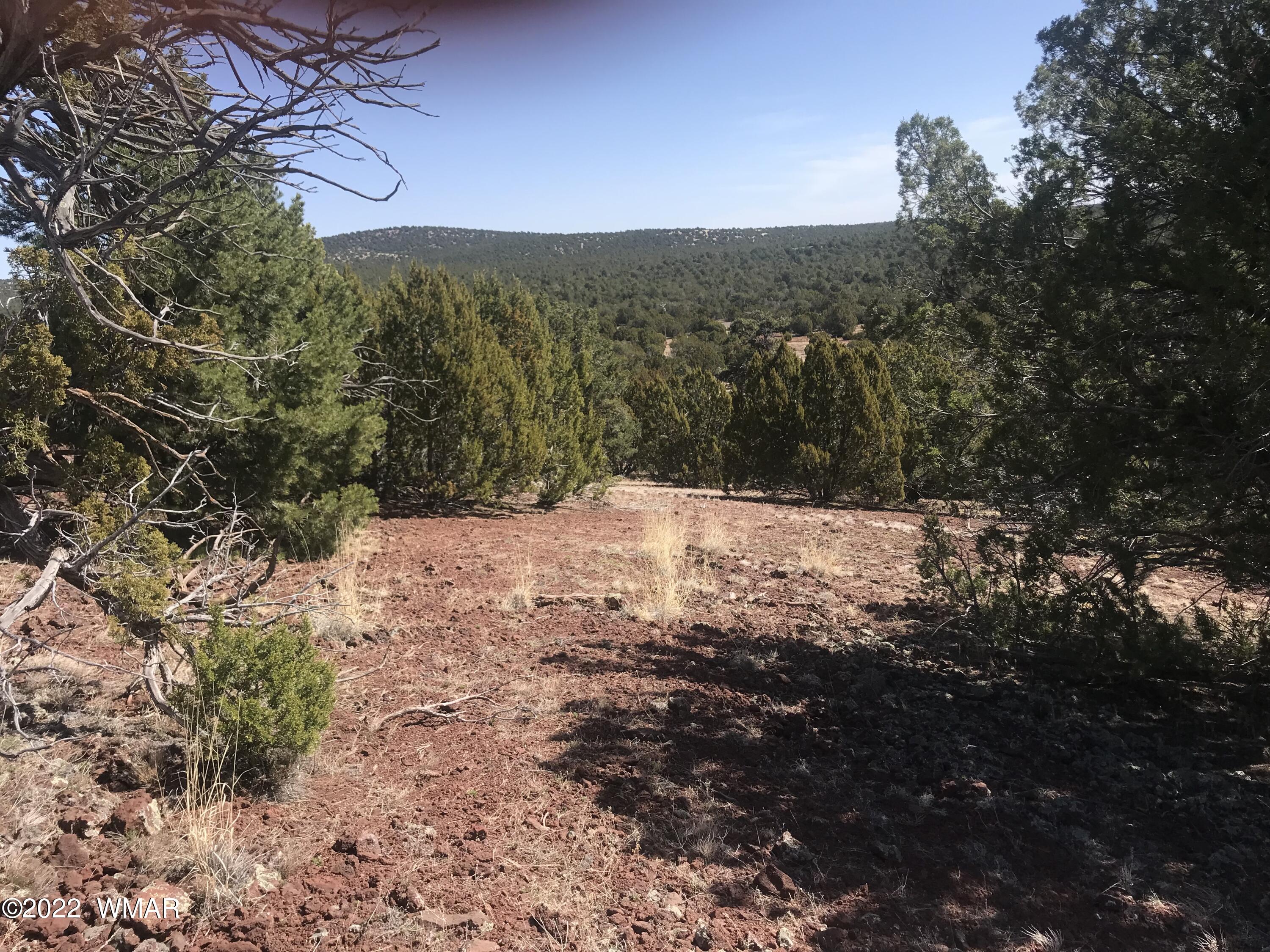 Tbd Tbd Show Low, AZ 85901 - Photo 3 of 4