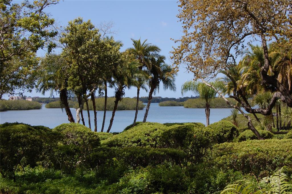1508 Pelican Cove Road, Unit GR233 Sarasota, FL 34231 - Photo 28 of 37 a view of a garden