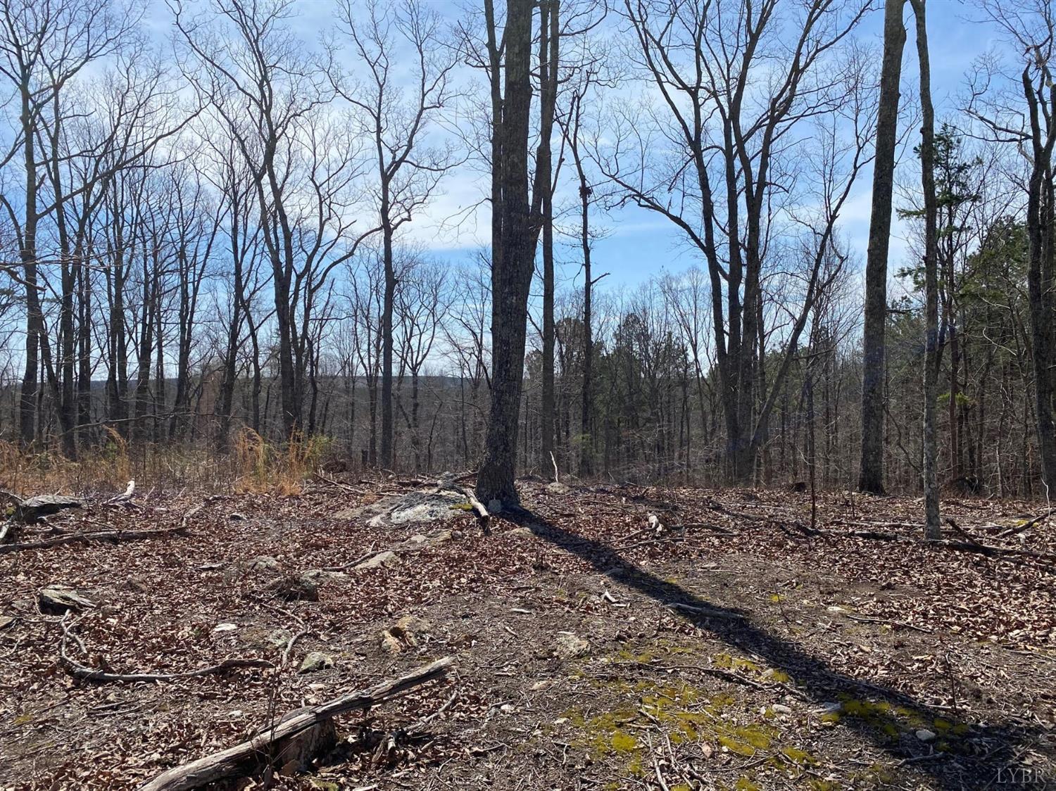3-lot Country Club Road Appomattox, VA 24522 - Photo 8 of 10 Gallery Image 8