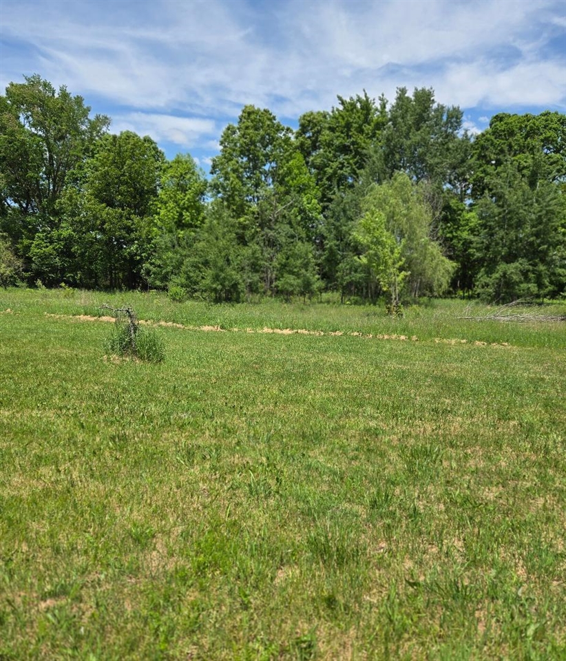 475 Tyler Road Wayland, MI 49348 - Photo 21 of 40
