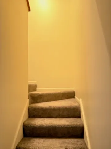 a blue white and black door