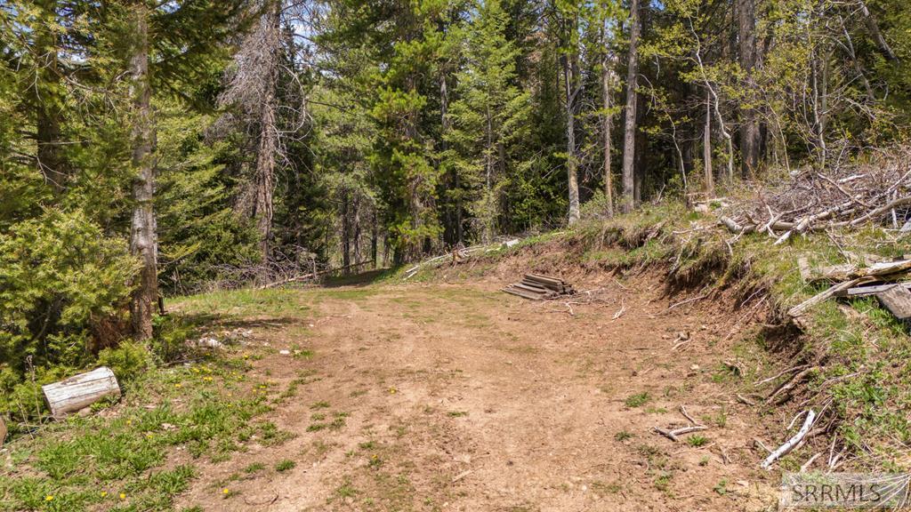 Tbd Tbd Sellers Creek Road Shelley, ID 83274 - Photo 1 of 32 Main View