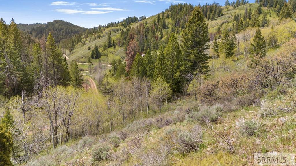 Tbd Tbd Sellers Creek Road Shelley, ID 83274 - Photo 11 of 32