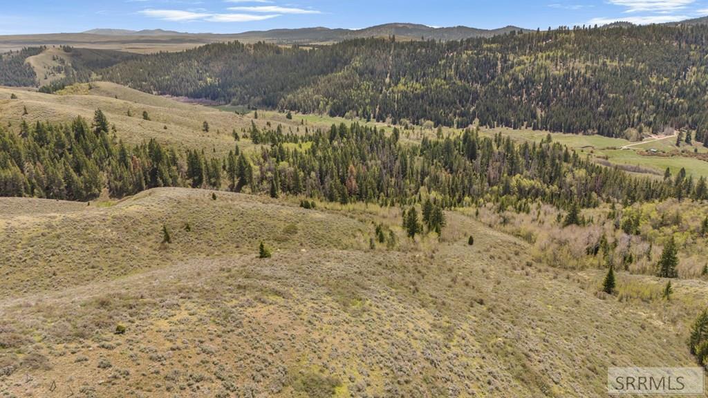 Tbd Tbd Sellers Creek Road Shelley, ID 83274 - Photo 13 of 32
