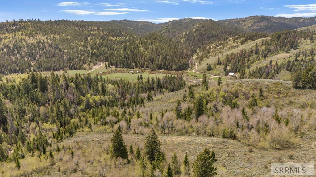Tbd Tbd Sellers Creek Road Shelley, ID 83274 - Photo 16 of 32