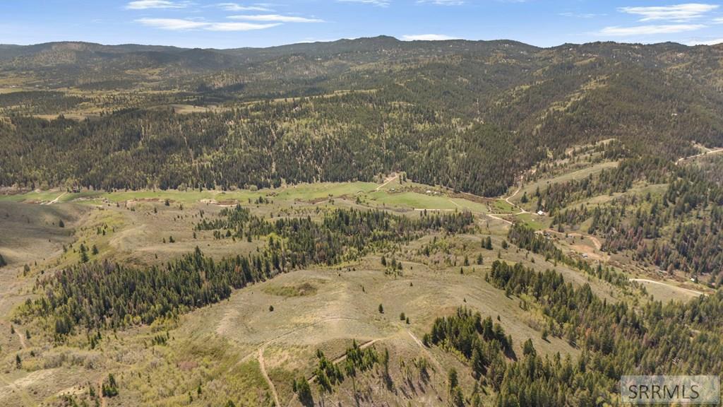 Tbd Tbd Sellers Creek Road Shelley, ID 83274 - Photo 22 of 32