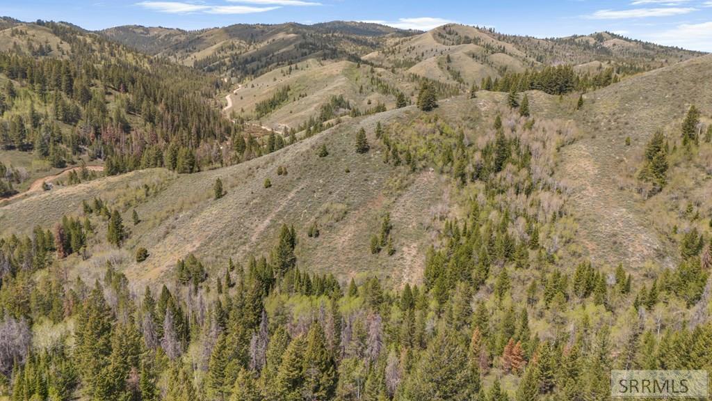 Tbd Tbd Sellers Creek Road Shelley, ID 83274 - Photo 29 of 32