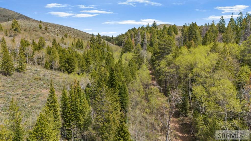 Tbd Tbd Sellers Creek Road Shelley, ID 83274 - Photo 30 of 32