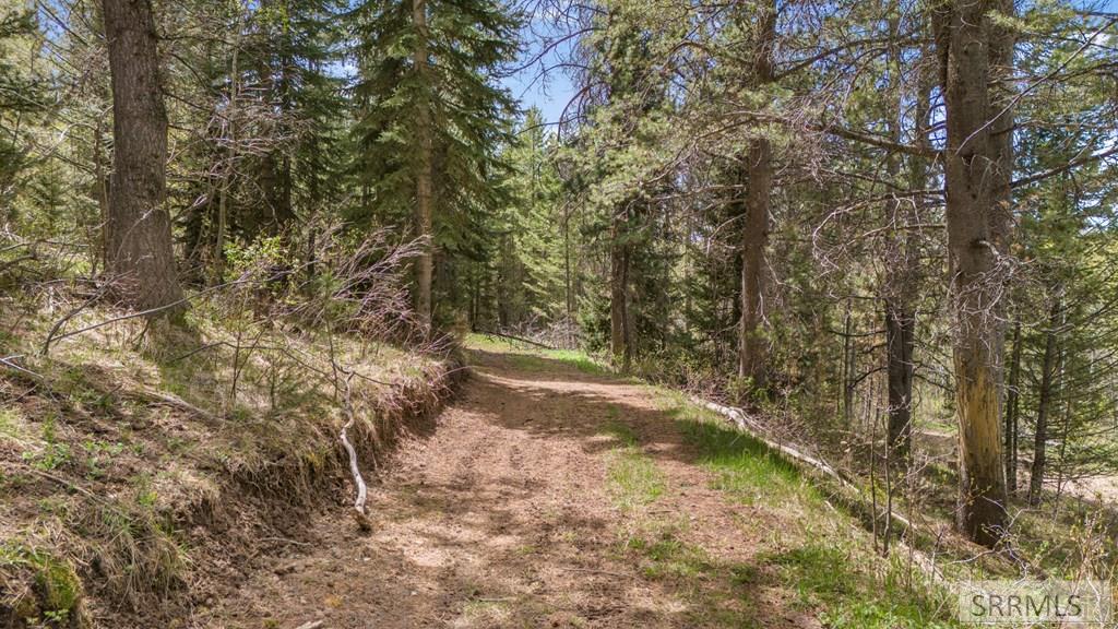Tbd Tbd Sellers Creek Road Shelley, ID 83274 - Photo 4 of 32
