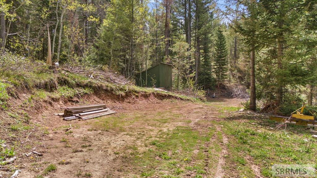Tbd Tbd Sellers Creek Road Shelley, ID 83274 - Photo 5 of 32