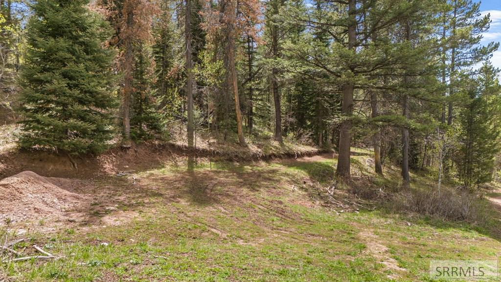 Tbd Tbd Sellers Creek Road Shelley, ID 83274 - Photo 6 of 32
