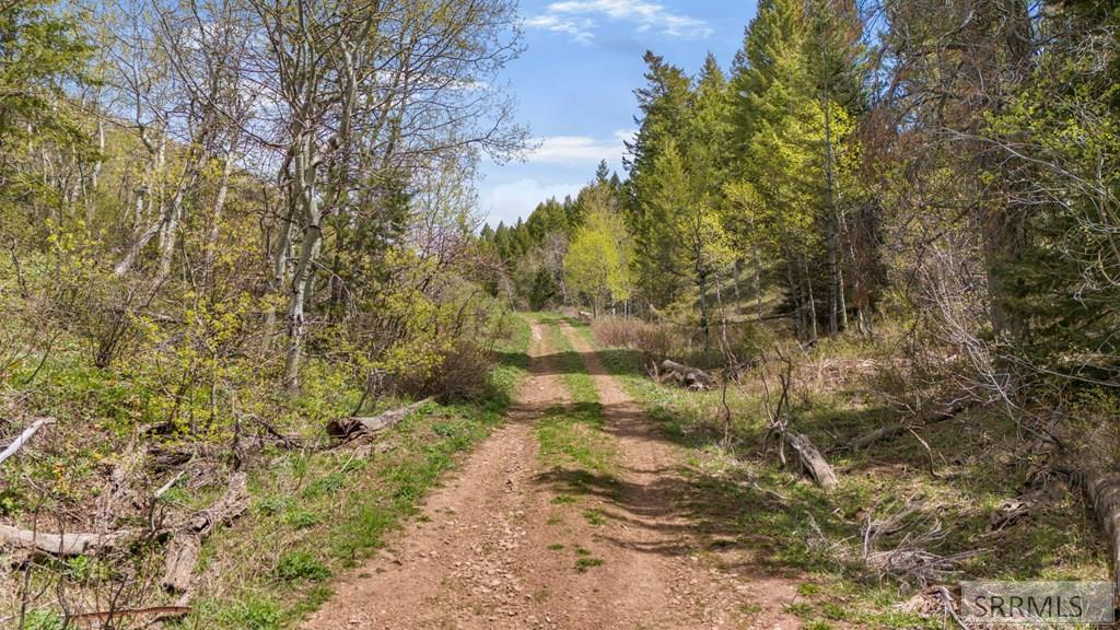 Tbd Tbd Sellers Creek Road Shelley, ID 83274 - Photo 7 of 32