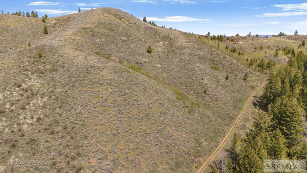 Tbd Tbd Sellers Creek Road Shelley, ID 83274 - Photo 10 of 32