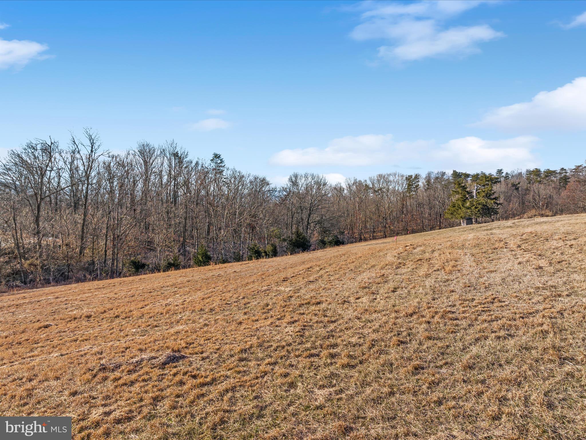 0 Russ Johnson Road Front Royal, VA 22630 - Photo 3 of 12 a view of a backyard of the house