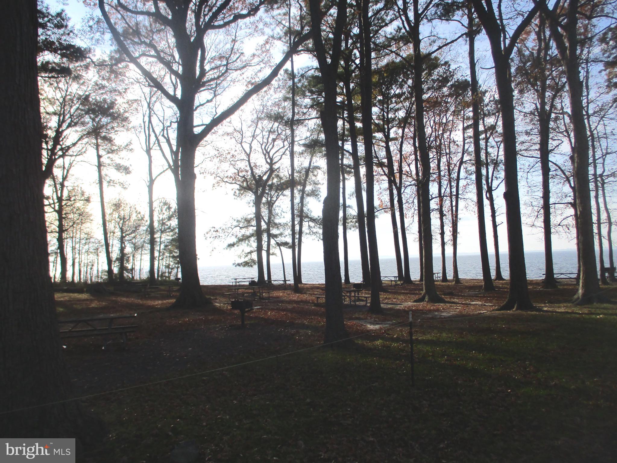 100 Annapolis View Road Stevensville, MD 21666 - Photo 41 of 45 Gallery Image 41