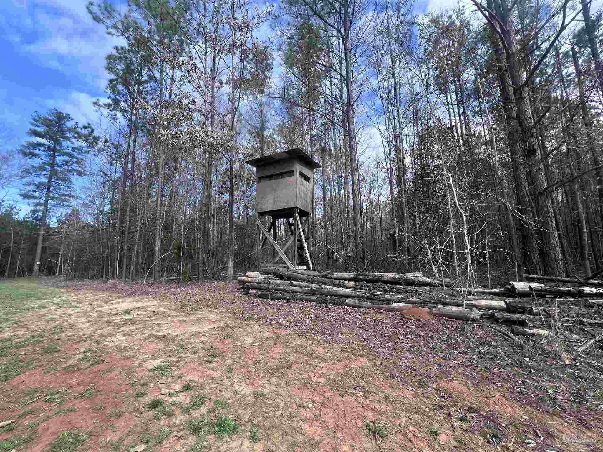 0 Mixonville Road McKenzie, AL 36456 - Photo 25 of 36 a view of outdoor space with trees