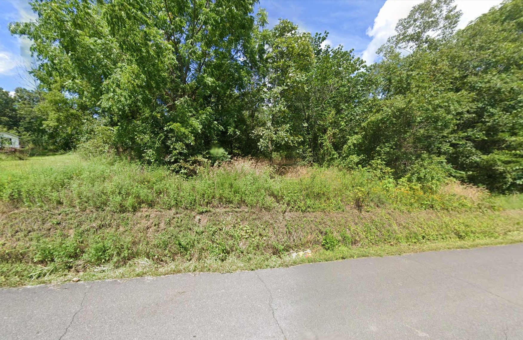 265 Wisecarver Road Mosheim, TN 37818 - Photo 2 of 5