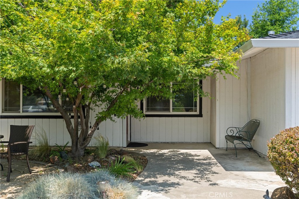 3030 Silverbell Road Chico, CA 95973 - Photo 11 of 42 a house view with a backyard space