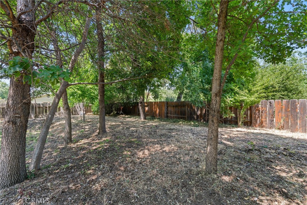 3030 Silverbell Road Chico, CA 95973 - Photo 37 of 42 a view of a backyard with large trees and wooden fence