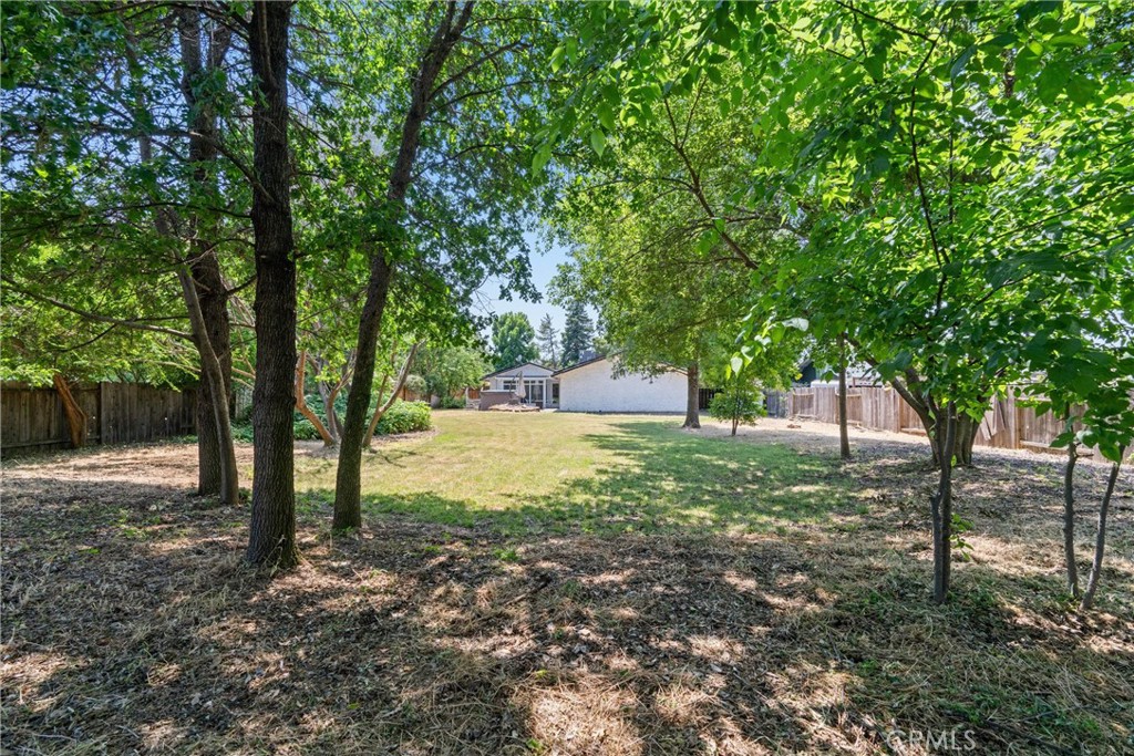 3030 Silverbell Road Chico, CA 95973 - Photo 38 of 42 a view of backyard with tree