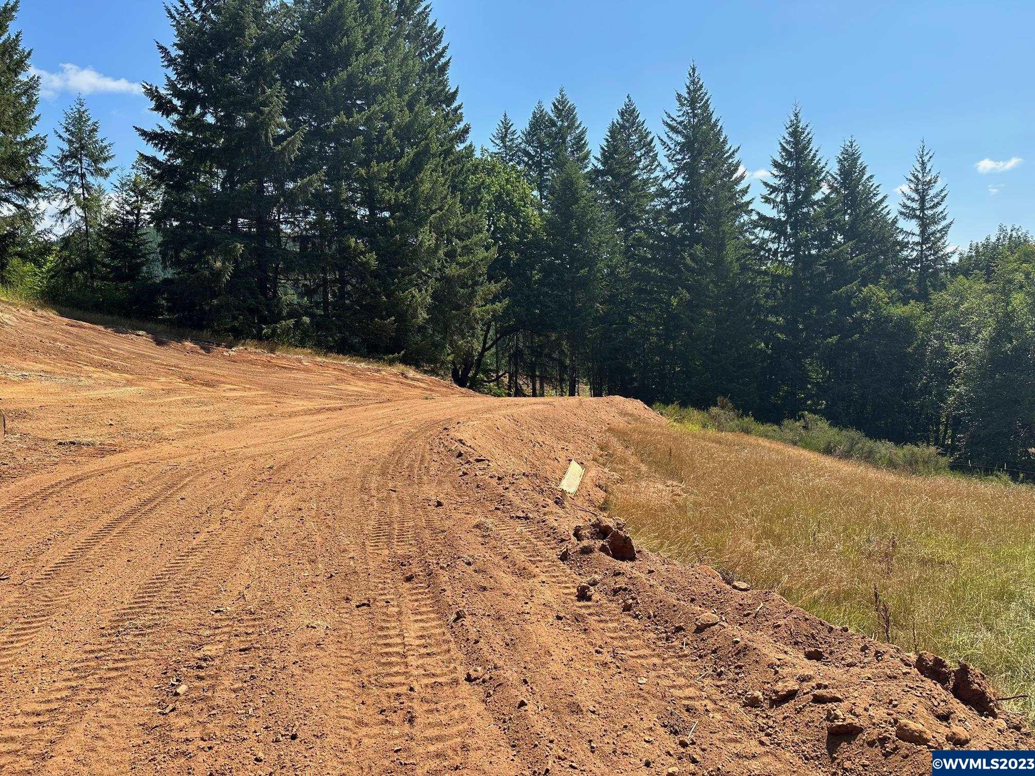 526258 Southwest Pumpkinseed Road Willamina, OR 97396 - Photo 4 of 24