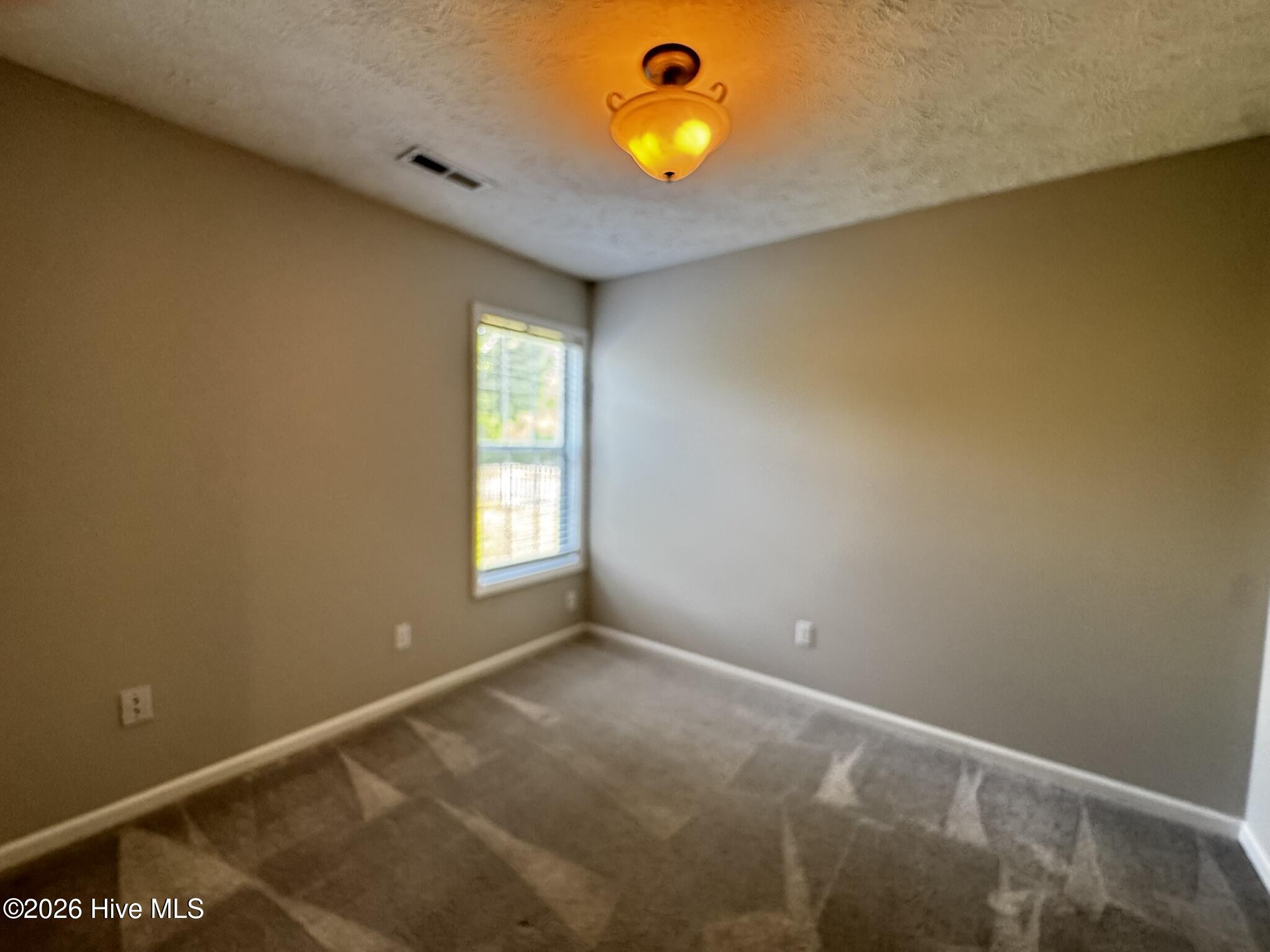 807 Gordon Woods Road Wilmington, NC 28411 - Photo 14 of 20 14