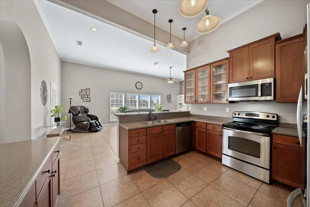 a view of a field with an tree