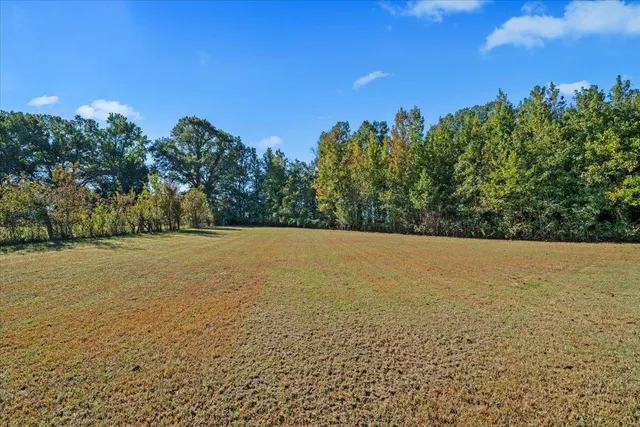 an aerial view of ocean beach and residential houses with outdoor space