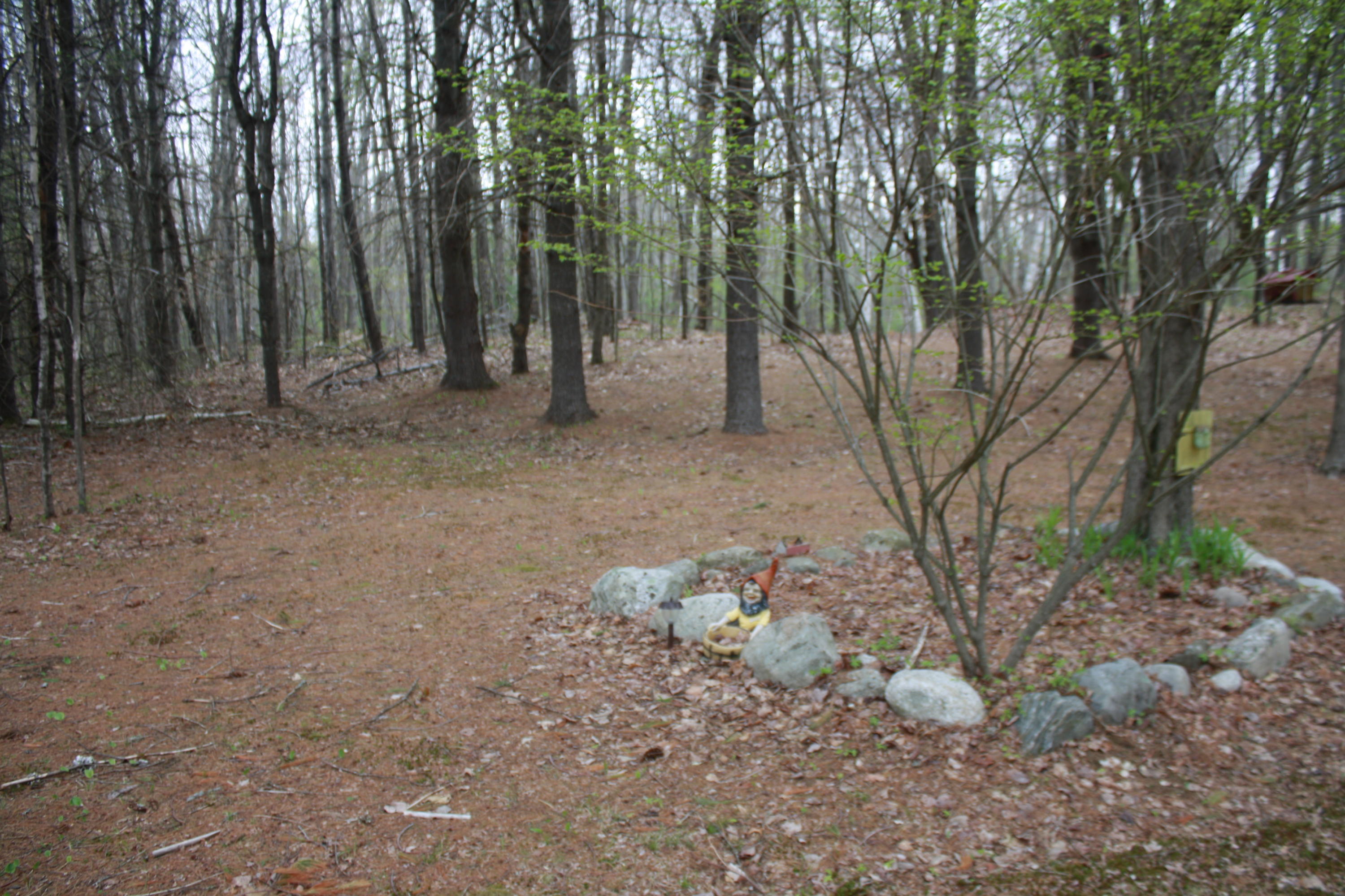 213 Townhouse Road East Waterboro, ME 04030 - Photo 94 of 127 IMG_2541