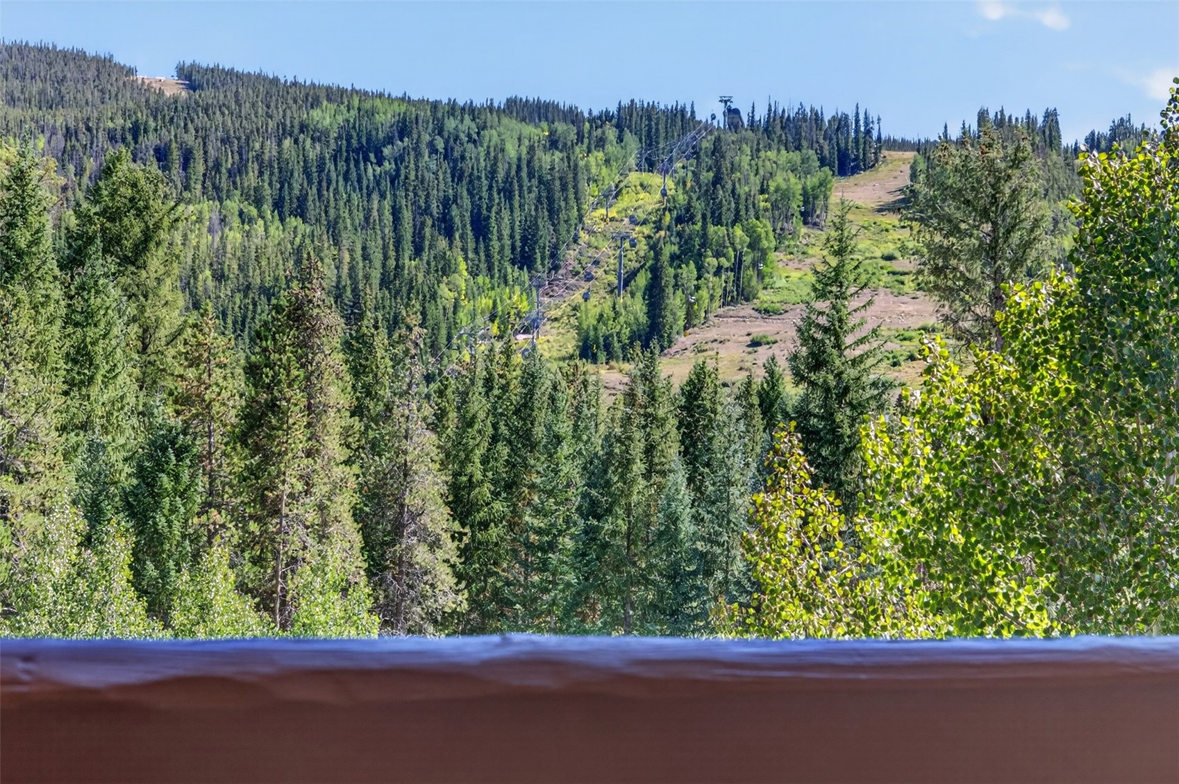 Expansive mountain scenery with dense evergreen forests and a ski trail