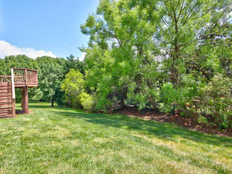 4113 Halburton Road Raleigh, NC 27613 - Photo 25 of 25 Back yard