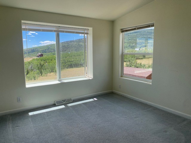 470 Sheep Ridge Road Fairplay, CO 80440 - Photo 15 of 23