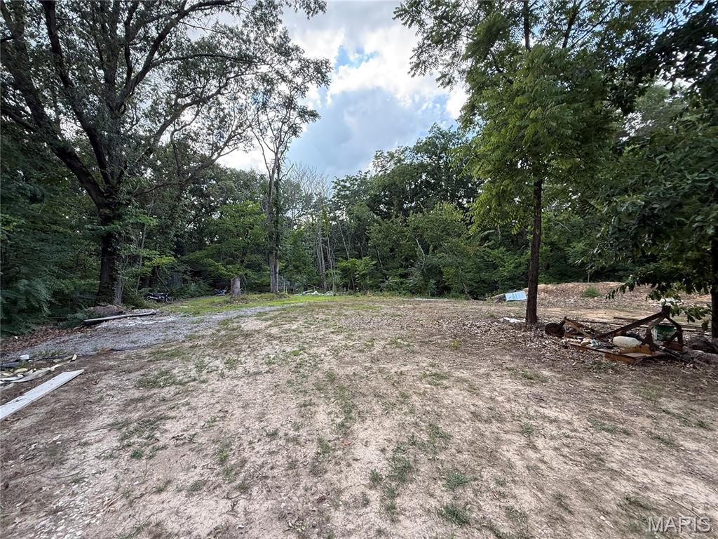 1133 Union School Road Ava, IL 62907 - Photo 45 of 46