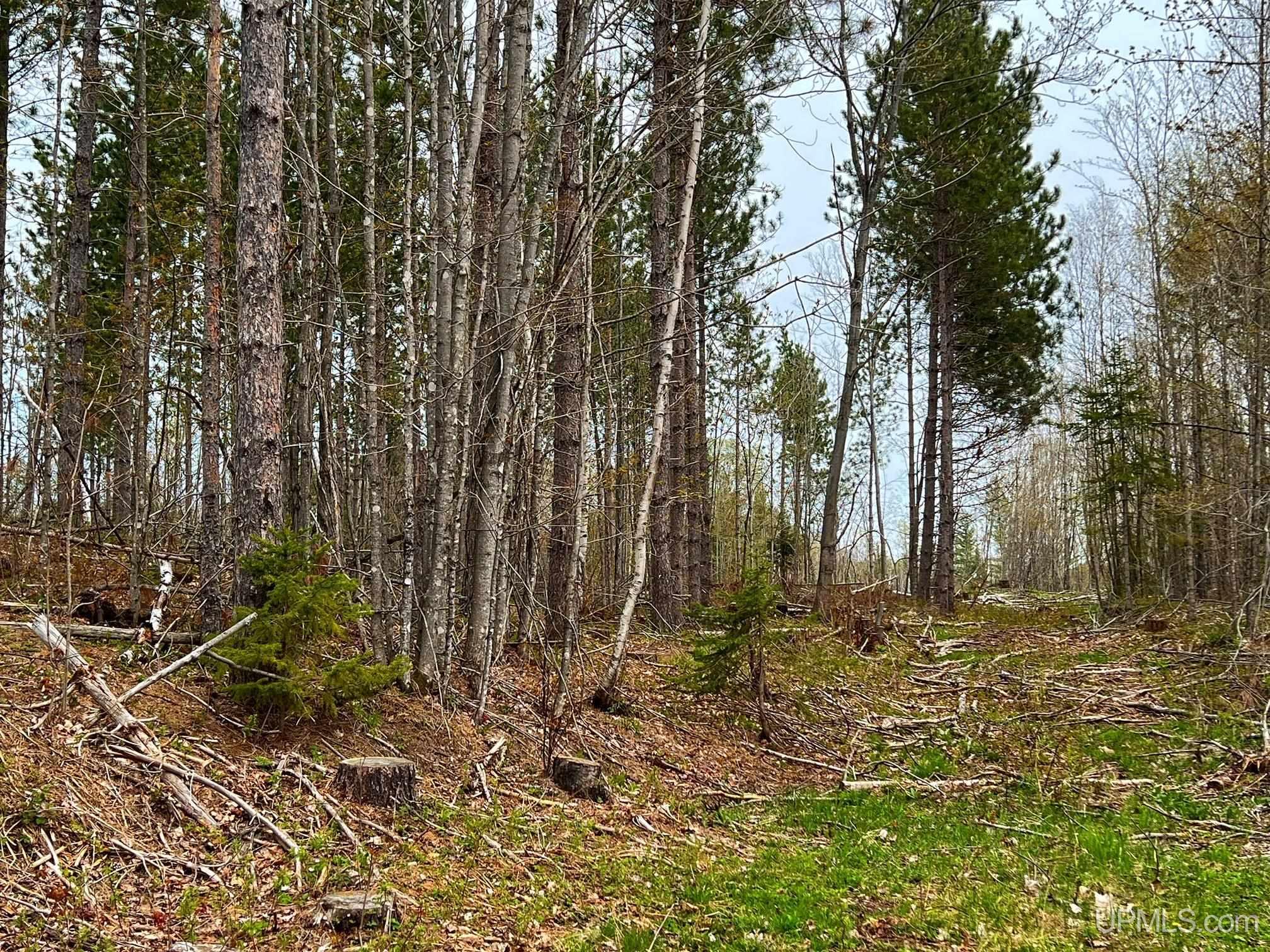 Tbd80 Tbd80 Off Baraga Plains Road Baraga, MI 49908 - Photo 15 of 25 Gallery Image 15