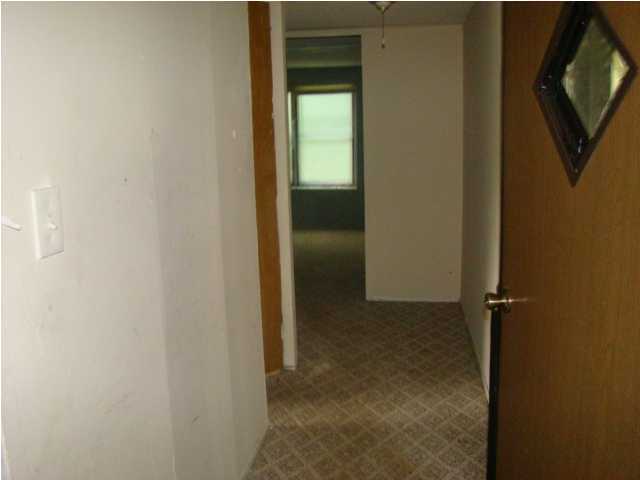 577 Roddy Road Spring City, TN 37381 - Photo 3 of 8 Additional Photo
