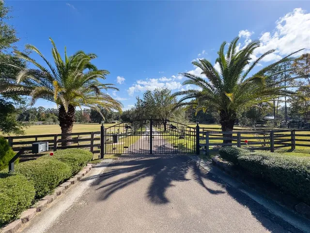a view of a park with palm trees
