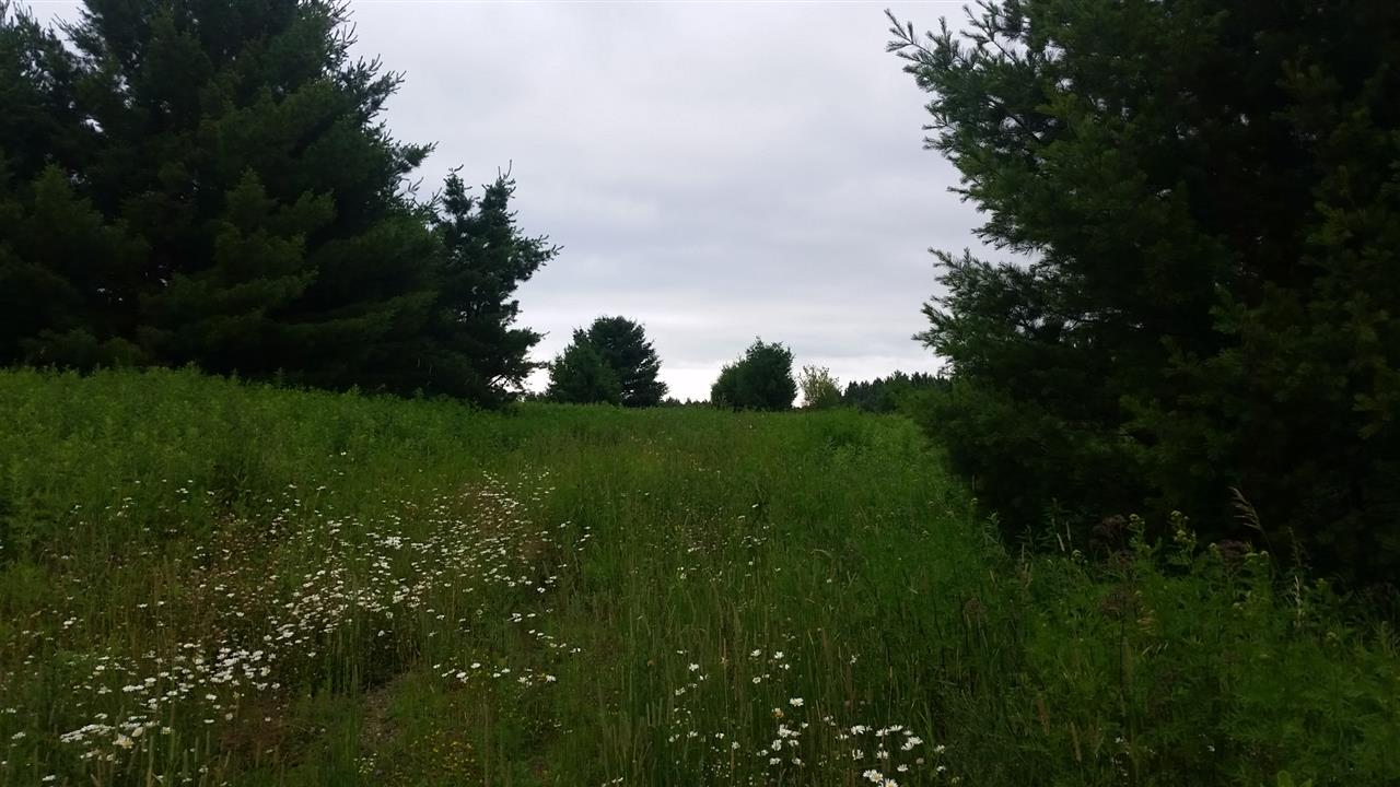 1.74-acres County Rd J Gleason, WI 54435 - Photo 1 of 1