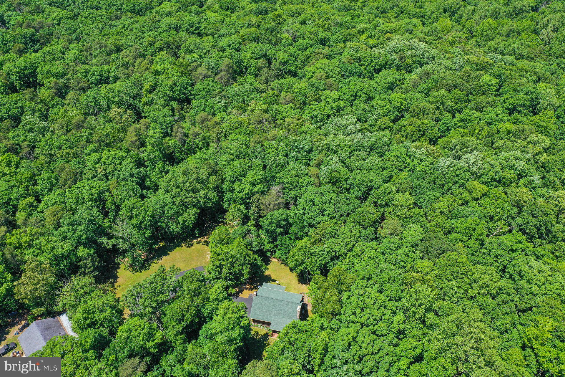 23540 Hurry Road Chaptico, MD 20621 - Photo 43 of 61 Gallery Image 43